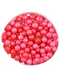 Big Red Foam Polystyrene Kolpo