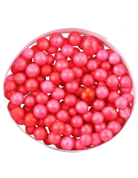 Polistirolo Pesca Foam Big Rosso Kolpo Accessori mare Kolpo