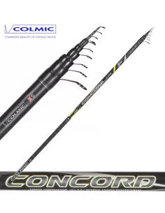 Canna Bolognese Colmic Concord Canne da pesca Colmic