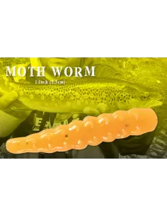 Herakles Camola Moth Worm Esche Artificiali Herakles
