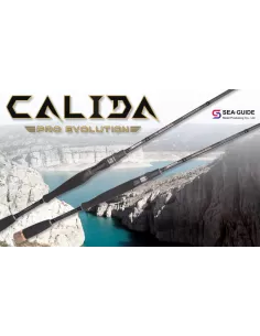 Herakles Canna da Casting Calida Pro Evolution Monosezione Canne da pesca Herakles