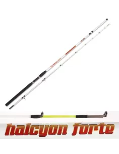Canna da Pesca 2 Pezzi Carbonio Halcyon Forte Barca Canne da pesca Zun Zun