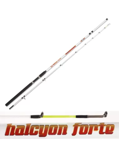 Canna da Pesca 2 Pezzi Carbonio Halcyon Forte Barca Canne da pesca Zun Zun