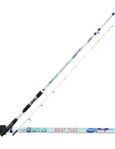 Canna da Pesca Dip Astral Boat Plus 2.40 mt 200 Grammi Canne da pesca Dip