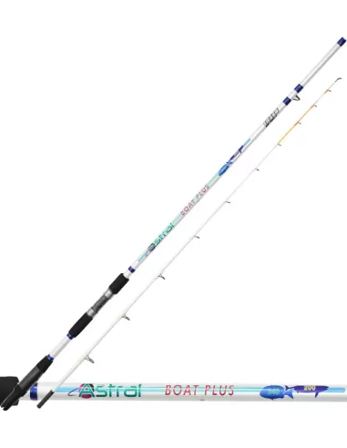 Canna da Pesca Dip Astral Boat Plus 2.40 mt 200 Grammi Canne da pesca Dip