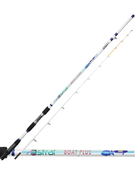 Canna da Pesca Dip Astral Boat Plus 2.40 mt 200 Grammi Canne da pesca Dip