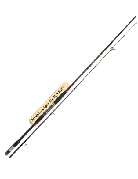 Canna da Pesca Allux Modularis Giant Spinning Potente 150 gr Anelli Fuji Canne da pesca Allux