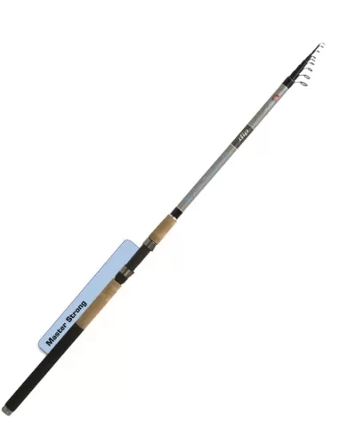 Canna da Pesca Dip Master Strong 4 Metri Canne da pesca Dip