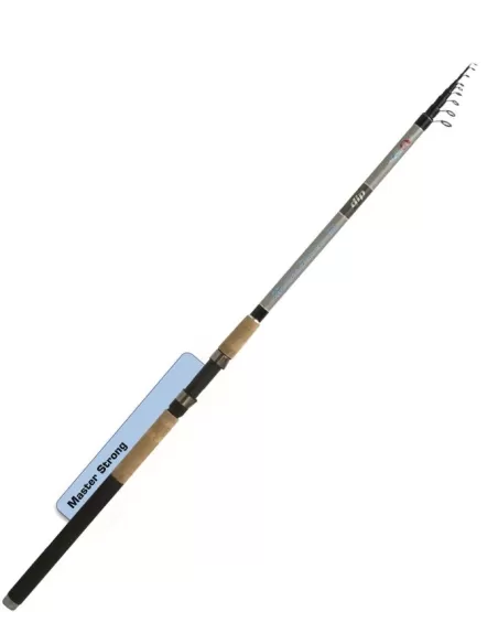 Canna da Pesca Dip Master Strong 4 Metri Canne da pesca Dip
