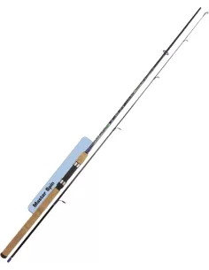 Canna da Pesca Dip Master Spin due Sezioni Canne da pesca Dip