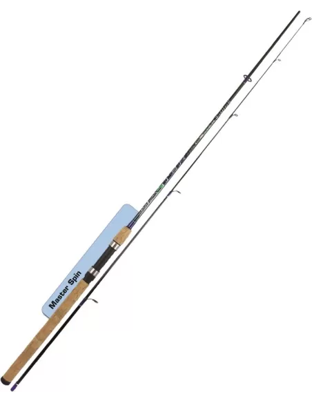 Canna da Pesca Dip Master Spin due Sezioni Canne da pesca Dip
