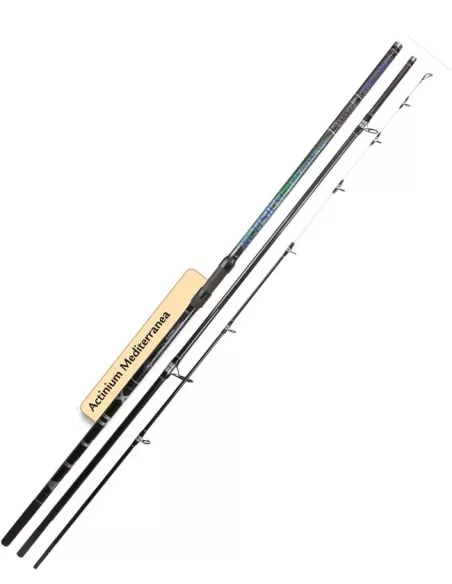 Canna da Pesca Allux Actinium Tele Surf 3 pezzi Surfcasting Canne da pesca Allux