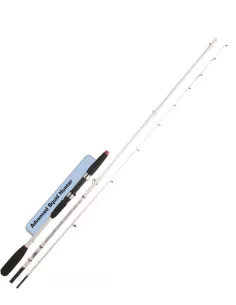 Canna da Pesca Dip Advanced Squid Hunter Speciale Calamari Canne da pesca Dip