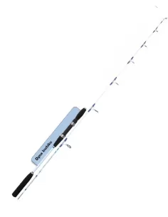 Canna da Pesca Dip Due Sezioni Speciale Calamari Canne da pesca Dip