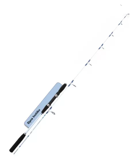 Canna da Pesca Dip Due Sezioni Speciale Calamari Canne da pesca Dip