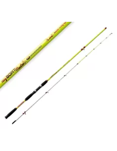 Canna da Pesca per la Barca Lineaeffe Boat Master 150 grammi Canne da pesca Lineaeffe