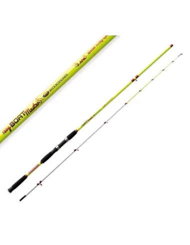 Canna da Pesca per la Barca Lineaeffe Boat Master 150 grammi Canne da pesca Lineaeffe