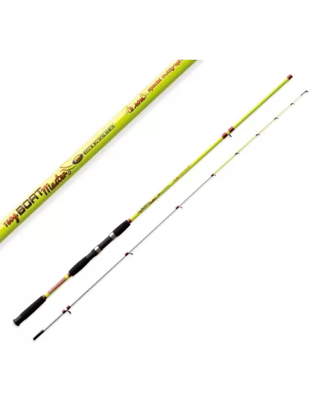 Canna da Pesca per la Barca Lineaeffe Boat Master 150 grammi Canne da pesca Lineaeffe
