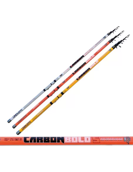 Canna da Pesca Bolognese Lineaeffe Carbon Bolo in Carbonio IM7 Canne da pesca Lineaeffe