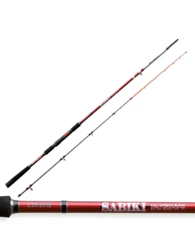 Canna da Pesca Barca Bolentino Sabiki Azione 100 grammi 2.5 mt Canne da pesca Fishing Ferrari
