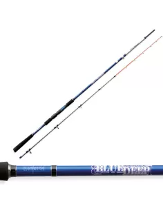 Boat fishing rod Fishing Sabiki Action 150 grams 2.5 mt 