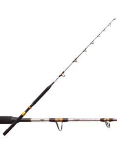 Carbon Trolling fishing rod Stand Up Luxury 