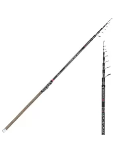 Fishing rod Minerva Allround Sele 