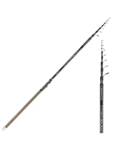 Canna da Pesca Minerva Allround Sele Canne da pesca Sele