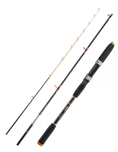 Sele Canna Artax Squid Pesca dalla Barca Azione 80 gr Canne da pesca Sele