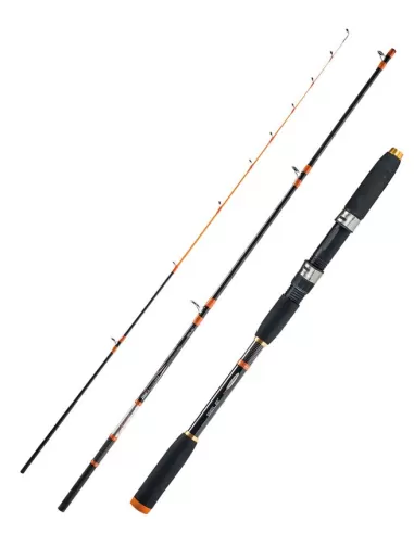 Sele Canna Artax Squid Pesca dalla Barca Azione 80 gr Canne da pesca Sele