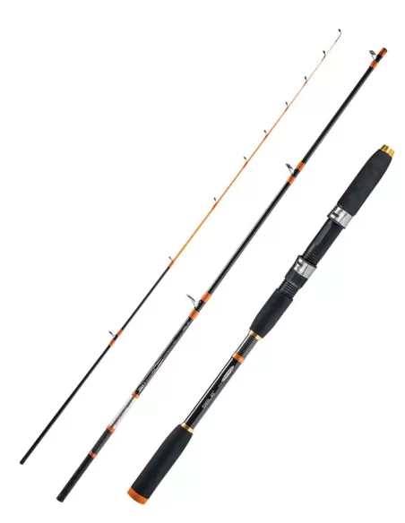 Sele Canna Artax Squid Pesca dalla Barca Azione 80 gr Canne da pesca Sele