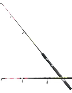 Olympus Canna da Pesca Monopezzo Rathaus Azione 100-200 gr Canne da pesca Olympus