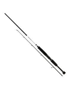 Shimano Vengeance Bx Sea Bass Canna spinning 20-60 grammi Canne da pesca Shimano