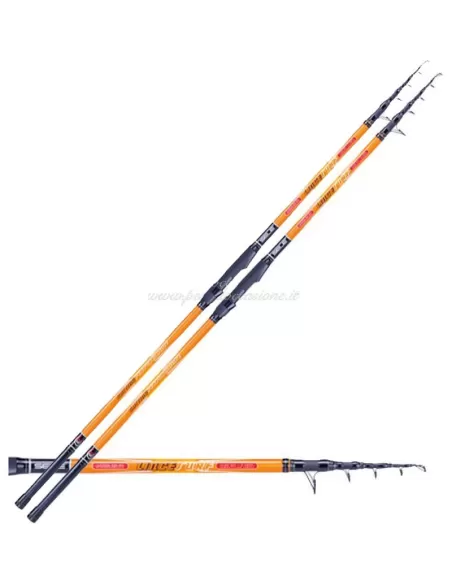 Lince Surf 2 Canne Pesca Surfcasting 4.20 Carbonio Canne da pesca Sele