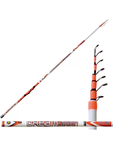 Lineaeffe Dream Carbon Bolo Canna da Pesca Bolognese Carbonio Intrecciato Canne da pesca Lineaeffe