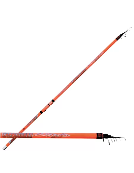 Lineaeffe Carboqueen Bolo Canna da pesca Bolognese Carbonio Canne da pesca Lineaeffe