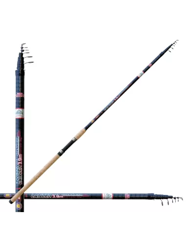 Lineaeffe Lancer Canna Da Pesca Carbonio Rinforzato 80 gr di Lancio Canne da pesca Lineaeffe
