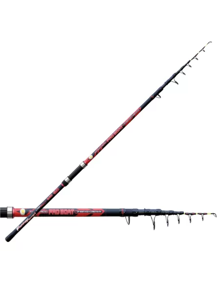 Fishing Ferrari Pro Boat Canna da Pesca Bolentino 100 gr Canne da pesca Lineaeffe
