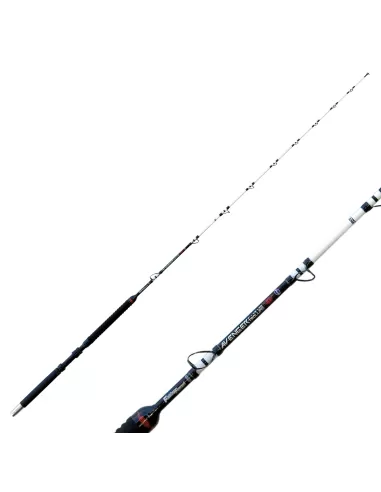 Fishing Ferrari Avenger Trolling Canna da Pesca Acid Saltwater Canne da pesca Fishing Ferrari