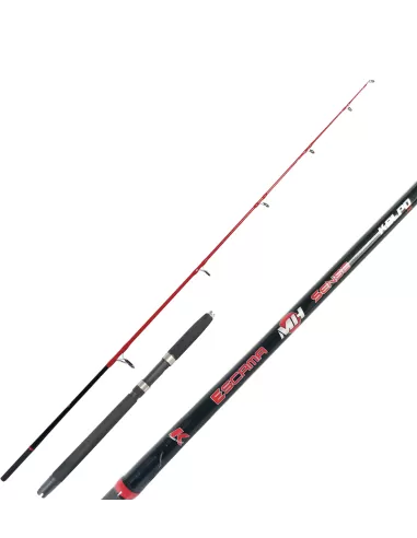 Kolpo Escama Sense Canna Da Pesca Traina Costiera Jig Canne da pesca per professionisti e principianti Kolpo