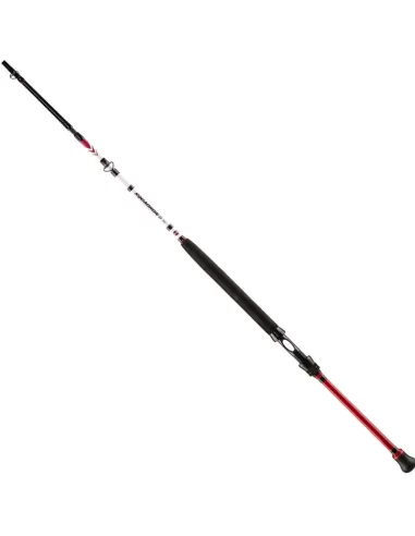 Penn Squadron II Boat Canne da Pesca Barca Canne da pesca Penn