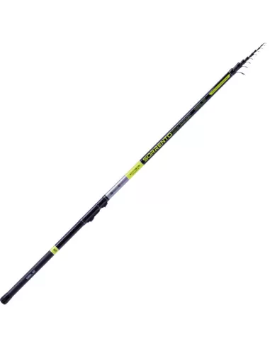 Sele Sorrento Canne da Pesca Bolognesi in Carbonio 30T Canne da pesca Sele