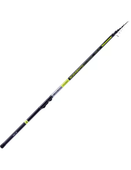 Sele Sorrento Canne da Pesca Bolognesi in Carbonio 30T Canne da pesca Sele
