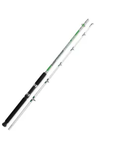 Zun Zun Stratus Canna da Pesca da Barca e Spinning 5 30 lbs Canne da pesca Zun Zun