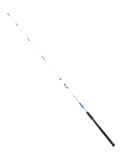 Mitchell Riptide Boat Canne da Pesca Potenti Traina Drifting Canne da pesca Mitchell
