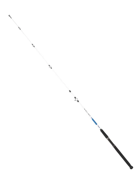 Mitchell Riptide Boat Canne da Pesca Potenti Traina Drifting Canne da pesca Mitchell