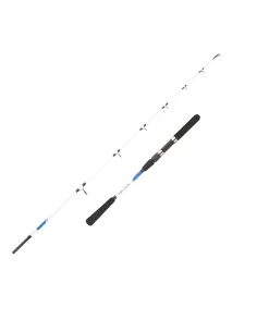 Mitchell Riptide Spinning CAnna da Pesca in Mare 2 Sezioni Canne da pesca Mitchell