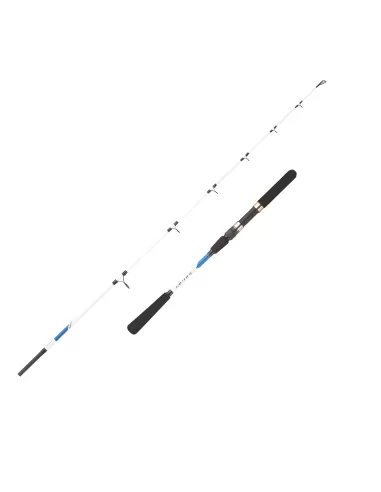 Mitchell Riptide Spinning CAnna da Pesca in Mare 2 Sezioni Canne da pesca Mitchell