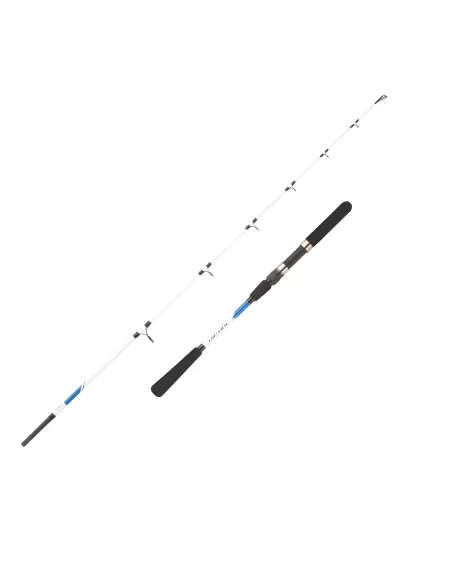 Mitchell Riptide Spinning CAnna da Pesca in Mare 2 Sezioni Canne da pesca Mitchell