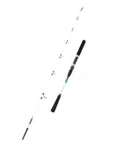 Mitchell Riptide Jig Canne da Pesca dalla Barca Canne da pesca Mitchell